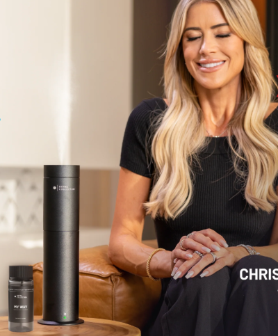 The U.S. Hotel Experience–Derived Consumer Industry: Market Status and Development Trends